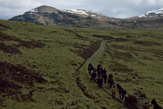 Illustration for article titled ​Outlander Recap, Episode Five: This Is the Worst Road Trip Ever